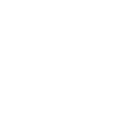 In-Depth Insights